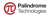 Palindrome logo