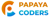 PAPAYA CODERS PRIVATE LIMITED logo