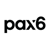 Pax6 Design Consulting logo
