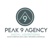 Peak 9 Agency logo