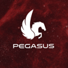 Pegasus Data Consulting logo