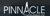 Pinnacle Computation, Inc. logo