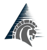 Platinum One logo