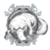 Platinum Platypus logo