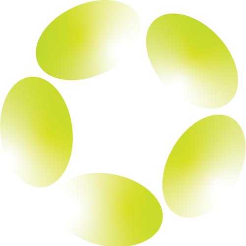 Pragmatic Software logo
