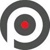 Precision Sports & Entertainment Group logo