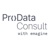 ProData Consult logo