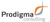 Prodigma Solutions logo