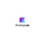 Protolylab logo