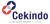 PT Cekindo Business International logo