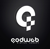 QodWeb Digital Agency logo