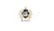 Ramlit Limited logo