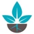 Rapacki + Co CPAs logo