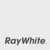 Ray White Commercial logo