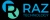 Raz Technology logo