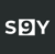 S9Y.ai logo