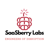 SaaSberry Innovation Laboratories Ltd. logo