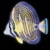 Sailfin Productions logo