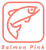Salmon Pink Business Solutions logo