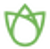 Seedz logo