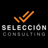 SELECCIN Consulting logo