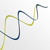 Selking Performance Group logo