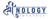 Shreenology Infotech logo