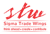 Sigma Trade Wings logo