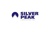 Silver Peak Consulting logo