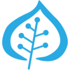 Silverleaf Computer Services logo