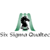 Six Sigma Qualtec logo