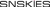 SN SKIES PRIVATE LIMITED logo