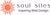 Soul Sites Web Co logo