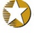 Star Global logo