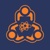 S.T.A.R.S (Pvt.) Ltd. logo