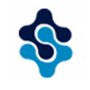 Steadfast Solutions logo