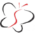 Strong Consulting LLC logo