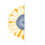 Sunflower Web Design and Branding logo