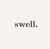 Swell YYC logo