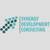 Synergy Development Consulting logo
