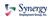 Synergy Employment Group logo