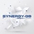Synergy Global Business, C.A. logo
