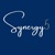 Synergy5 Consulting logo