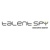 TALENTspy Executive Search logo