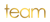 Team Accountants logo