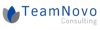 TeamNovo Consultancy logo
