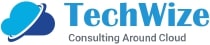 TechWize logo