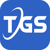 Telegenisys Inc logo