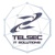 Telsec IT logo
