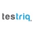 TESTRIQ QA LAB logo